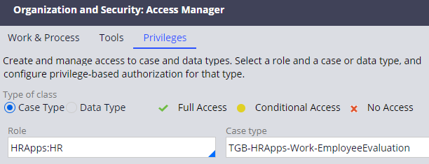 Access manager with the HR role and Employee Evaluation case type selected